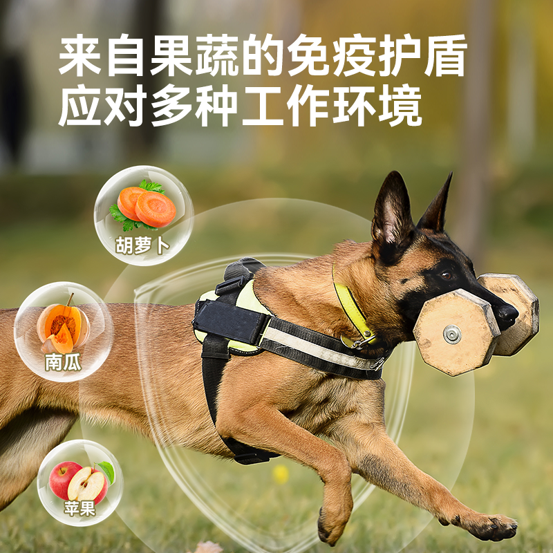 小顽童-全犬种成年期犬粮-10kg
