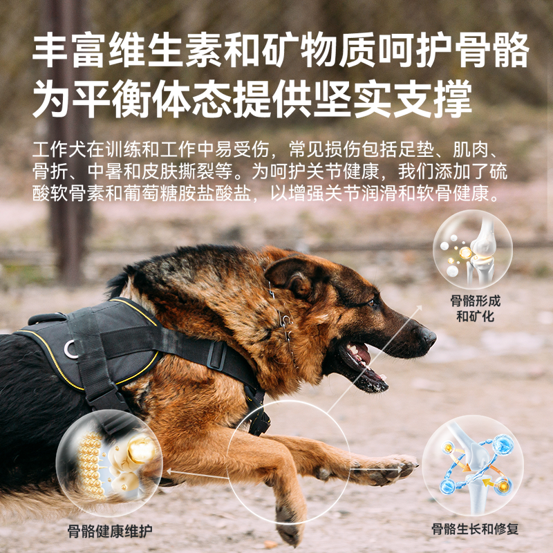 小顽童-全犬种成年期犬粮-10kg